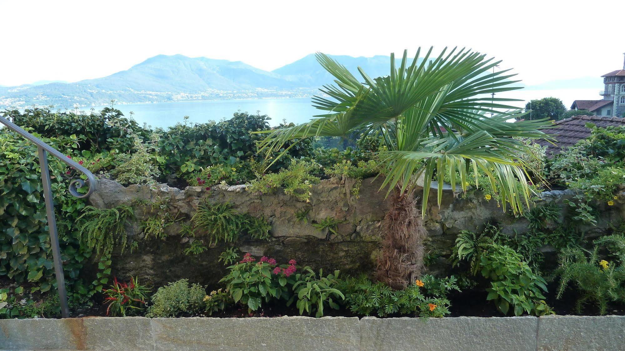 B&B Casa Forster Cannero Riviera Exteriör bild