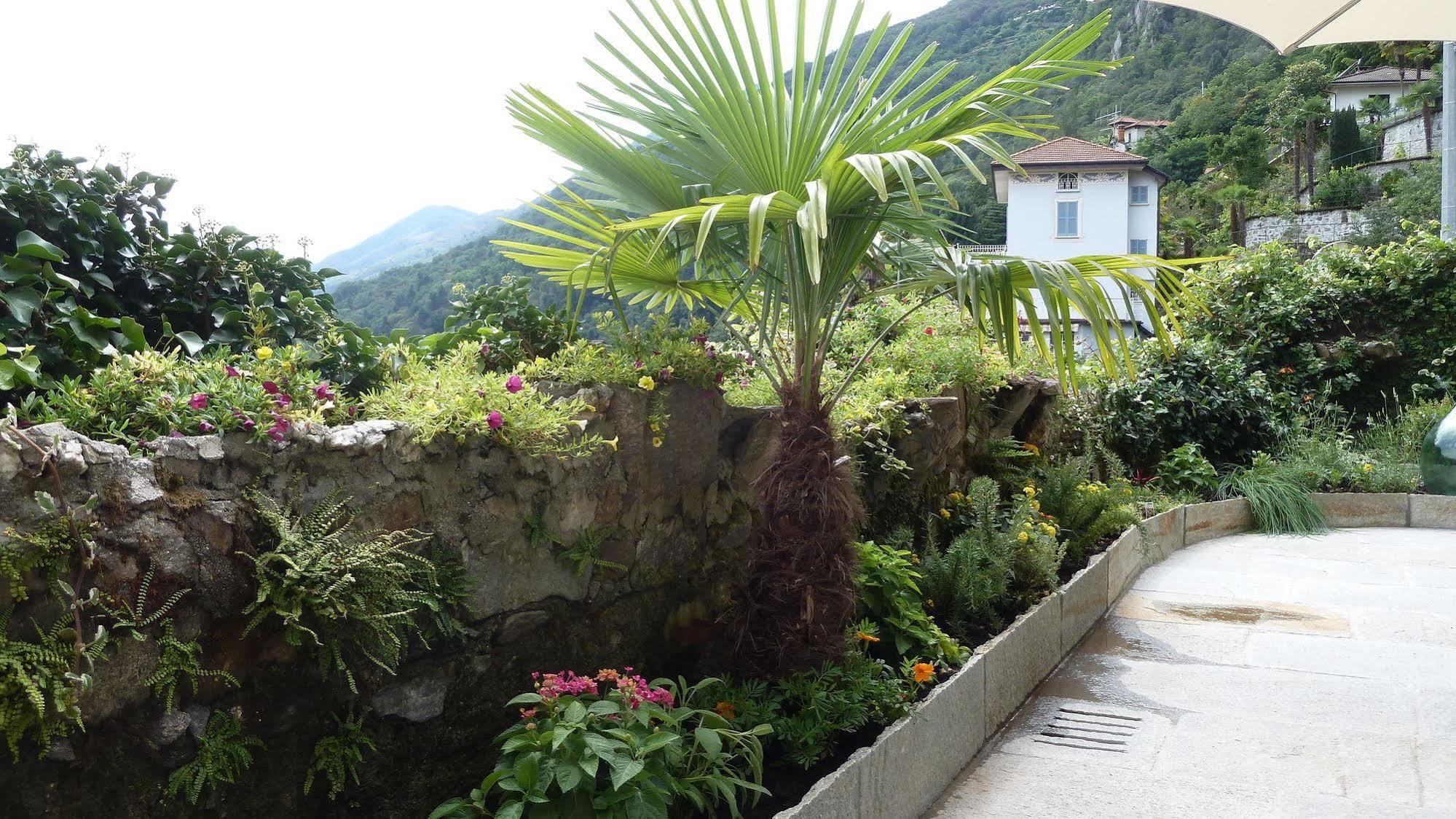 B&B Casa Forster Cannero Riviera Exteriör bild